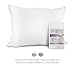 Mulberry Park 100% Silk Pillowcase - 19 Momme, Grade 6A Mulberry Silk - Deep Envelope Closure - White/Queen (20'' x 30'')