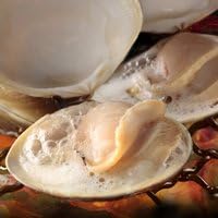 Amazon 業務用 冷凍はまぐり ５年もの 5cm 6cm 500ｇ入 ２パック 18粒前後 入 はま王 鮮魚 通販