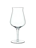 Luigi Bormioli Birrateque Craft Beer Glasses Tester (Set of 2), 14.25 oz, Clear