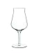 Luigi Bormioli Birrateque Craft Beer Glasses Tester (Set of 2), 14.25 oz, Clear