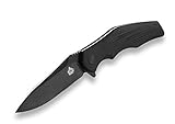 QSP Pocket Knife Pangolin QS105-C, Razor Sharp D2 Steel Blade and G10 Handle, Ball Bearing Mechanism Tactical Knife, Gift for Men(Black Titanium Coated Blade)