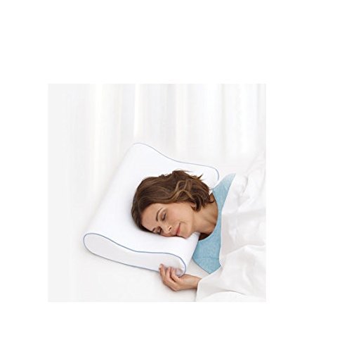 Sleep Innovations Classic Memory Foam Bed Pillow Multiple