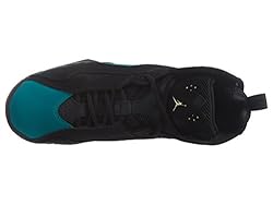 Air Jordan True Flight