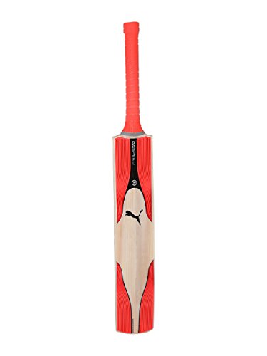 Puma Cricket Kashmir Willow Bat (Evo Speed 6 KW Senior, Short Handle)