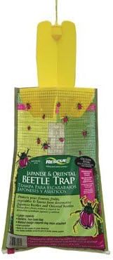 Japanese &amp; Oriental Beetle Trap