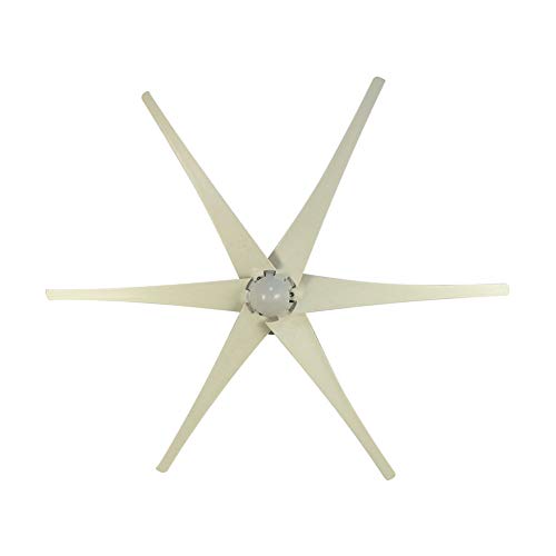Taishi 800W 24V 6 Blades Residential Horizontal Wind Turbine Generator