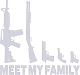 Country Life GUNS MEET MY FAMILY REFLECTIVE 3M CAR/TRUCK/DECAL STICKER WITH ALCOHOL PAD ~ SIZE 6.75