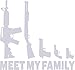 Country Life GUNS MEET MY FAMILY REFLECTIVE 3M CAR/TRUCK/DECAL STICKER WITH ALCOHOL PAD ~ SIZE 6.75