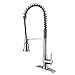 Lead Free Pull Down Kitchen Faucet With Pull Out Sprayer High Arc Single Handle Single Lever Pre-Rinse 304 Stainless Steel Spring Kitchen Sink Faucets With Deck Plate Brushed Nickel SonTiy