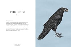 Ornithography: An Illustrated Guide to Bird Lore