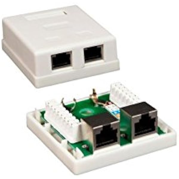 Varios Roseta RJ45 Cat.5E FTP 2 Puertos: Amazon.es: Electrónica