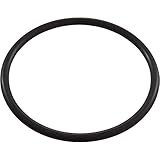 Zodiac O-Ring, Jandy AquaPure Ei, Locking Collar