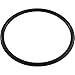 Zodiac O-Ring, Jandy AquaPure Ei, Locking Collar