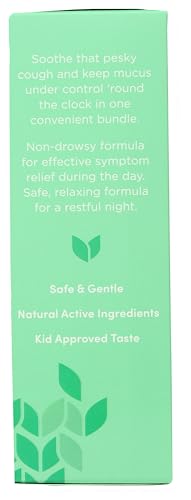HYLAND’S KIDS COUGH SYRUP AND MUCUS RELIEF DAYTIME AND NIGHTTIME COMBO PACK, KIDS MEDICINE FOR AGES 2-12, GRAPE FLAVOR, PROMOTES SLEEP, COUGH, RUNNY NOSE, MUCUS AND CONGESTION, 8 OUNCES