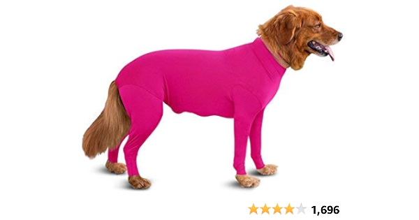 no shed suit for dogs