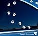 AMIART Cat Paw Print Vinyl Sticker - White - 18 Count - Size of Cat Footprint - Indoor/Outdoor