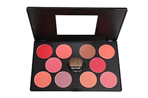 professional blusher palette no 1