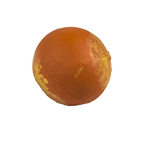 Safari Ltd  Safariology The Solar System