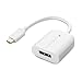 Cable Matters USB 3.1 Type C (USB-C & Thunderbolt 3 Port Compatible) to DisplayPort 4K 60Hz UHD Adapter in White