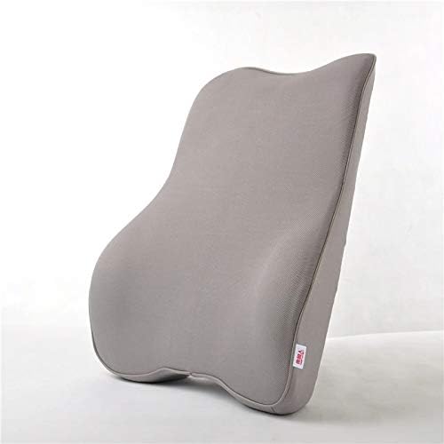 Ergoneer Lumbar Support Back Cushion for Car Seat, Memory Foam Lumbar Cushion Provides Comfortable Relaxing Trip and Office Work (Grey)