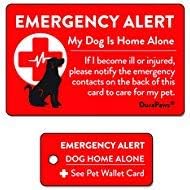 pets at home pet tags