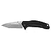 Kershaw Link Tanto Folding Pocket Knife (1776T) with SpeedSafe Assisted Opening, 3.25 Inch 420HC Stainless Steel Blade, Including Liner Lock, Flipper and Reversible Clip; 4 oz.