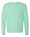 Comfort Colors Ringspun Garment-Dyed Long-Sleeve T-Shirt