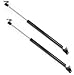 6102 Fits Lexus RX300 1999-2003 Liftgate Lift Supports Strut, Set of 2