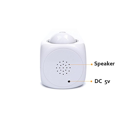 Projection Alarm Clock Wake Up Bedroom with Data and Temperature