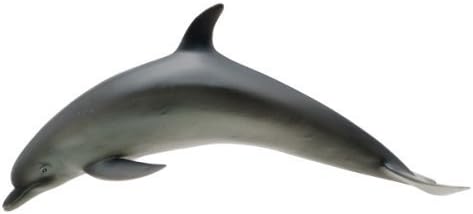 70615 bottlenose dolphin software model