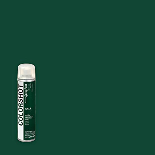 COLORSHOT Kale Spray Paint, Dark Green