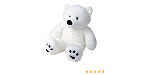 recordable teddy