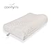 Hypoallergenic Bamboo Memory Foam Contour Pillow - Antimicrobial Dust Mite Resistant A Firm Flexible Therapeutic Posturepedic Pillow for Sound Sleep and Reduced Neck and Shoulder Pain (22 x 14 in)
