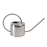 JOCO Home Small Watering Can Indoor Outdoor Metal Silver Water Plants Mini Watering Device Plant Waterer Succulent Bonsai Best Silver Watering Can Modern Design Cute for Kids Room Or Decoration