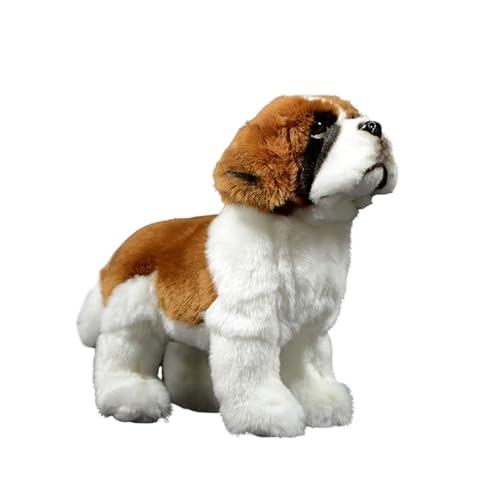 Saint Bernard