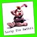 LUCKY THE RABBIT * MEANIES * Series 2 * Bean Bag Plush Toy From The Idea Factory