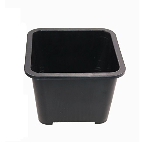 MUZHI 8PCS-PACK Large Black Square Succulent Planters Pots, Plastic Cactus Planters Bonsai Tree Miniascape Plant Containers With Rolled Edge and Grid Bottom,7 INCH