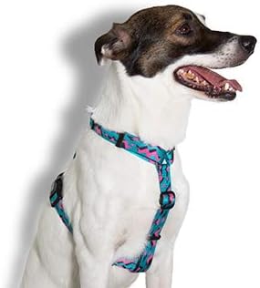 Amazon.com : ZEE.DOG | Dog H Harness 