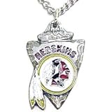 NFL Washington Redskins Traditional Chain Necklace