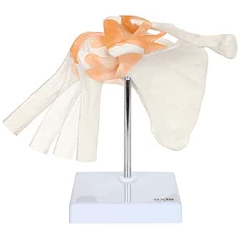 Image of 616316878488