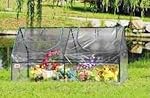 Quictent Garden Green House - Mini Portable Hot House 71"WX 36"D X 36"H Greenhouse