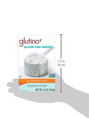 All Purpose Baking Flour Gluten Free 16 Ounces (Case of 6)