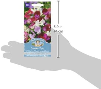 Mr. Fothergill's Old Spice Mixed Tall Sweet Pea Flower Seeds, Multi-Coloured - Image 4