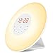 Wake Up Light, Alarm Clock Sunrise Simulation & Sleep Aid Feature, Bedside Night Light with FM Radio, 6 Nature Sounds, Touch Control and Snooze for Kids Adults Bedrooms(6638-Sunrise Alarm Clock)