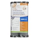 Omnifilter T01-DS Omni TO1-DS Whole House Replacement Under Sink Water Filter Carbon Wrapped Cartridge (2-Pack) Taste & Odor TO1 DS T01 DS Series C (Twin Pack) Water Filter