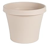 Bloem Terra Pot Planter 6" Taupe