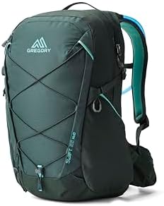Amazon.com | Gregory (Day Pack) official Black Backpack [Japan import] |  Casual Daypacks