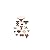 Texas Longhorns Team Logo Assortment Fathead Jr. Wall Decal