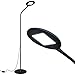 Brightech Contour Flex - Bright LED Floor Lamp for Reading, Crafts & Office Tasks - Standing Pole Lamp w. Flexible Gooseneck & Dimmer - Beauty Light for Lashes, Spa, Salon, Facial, Makeup - Black