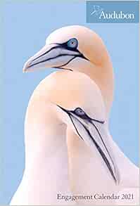 audubon calendar 2021 Amazon Com Audubon Engagement Calendar 2021 9781523508693 National Audubon Society Workman Calendars Books audubon calendar 2021